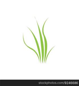 Green grass. Spring. Gazon. Vector icon