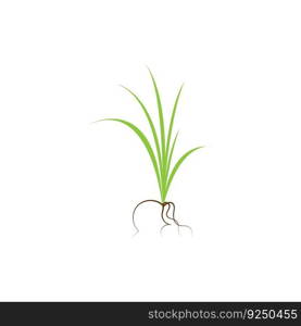 Green grass. Spring. Gazon. Vector icon