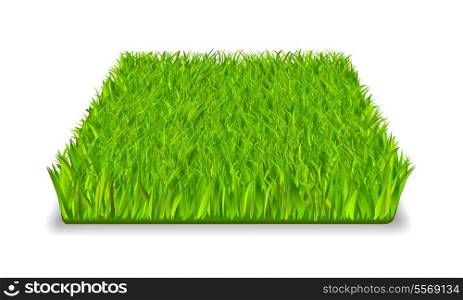 Green grass square realistic isolated vector illustration