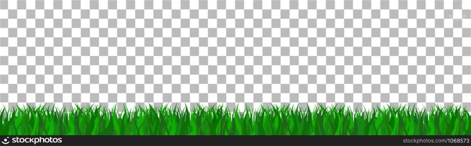 green grass that is longitudinal to use as a design element isolated from a transparent background. Vector illustrations