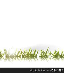 Green grass with reflection and sun isolated. Green grass with reflection and sun isolated on white background - vector