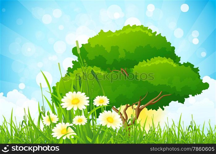 Green Grass with Tree