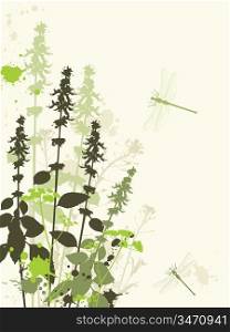 Green grunge vector background with wildflowers and dragonfly