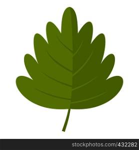 Green hawthorn leaf icon flat isolated on white background vector illustration. Green hawthorn leaf icon isolated