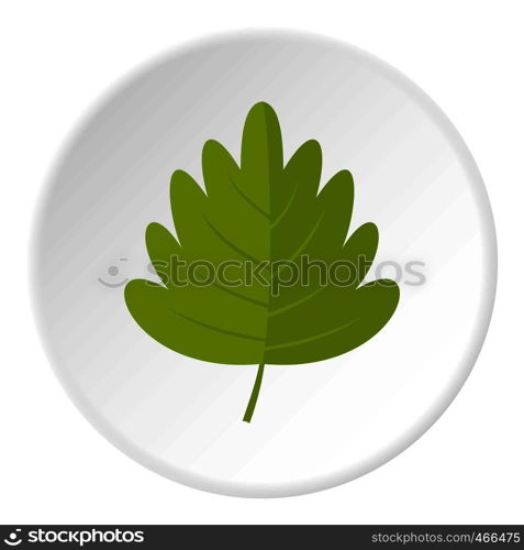 Green hawthorn leaf icon in flat circle isolated on white background vector illustration for web. Green hawthorn leaf icon circle