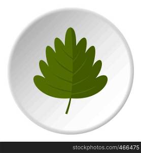 Green hawthorn leaf icon in flat circle isolated on white background vector illustration for web. Green hawthorn leaf icon circle