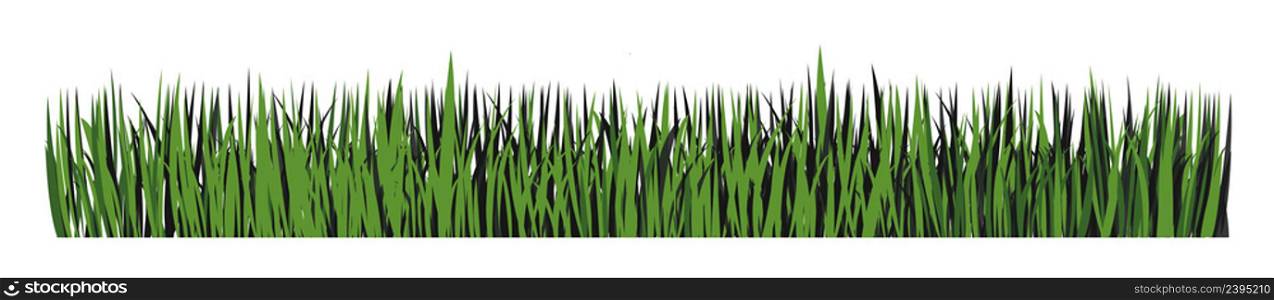 Green horizontal banner of grass silhouette. Vector illustration . Green horizontal banner of grass silhouette. Vector