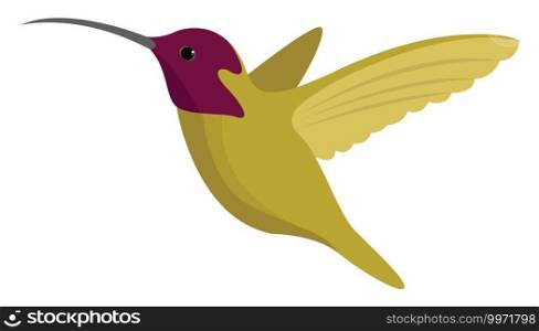 Green hummingbird, illustration, vector on white background
