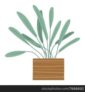 Green indoor houseplant and flower in pot icon on white. Plant growing in pot or planter. Beautiful natural home and office decorations. House plant, flowerpot object. Trendy vector in flat cartoon. Plant growing in pot or planter. Green indoor houseplant and flower