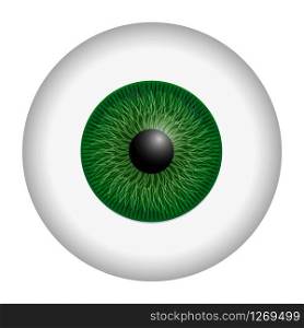 Green iris eyeball mockup. Realistic illustration of green iris eyeball vector mockup for web design isolated on white background. Green iris eyeball mockup, realistic style