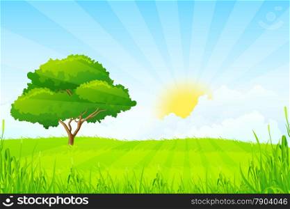 Green Landscape with Tree