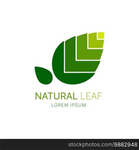 Green leaf eco natural organic logo design icon for business vector isolated on white background.