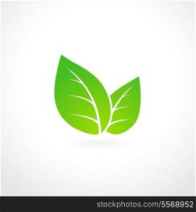 Green leaf ecology emblem isolated vector illustration