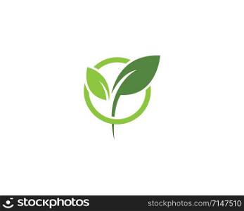 green leaf ecology logo vector template