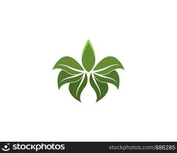 Green leaf ecology nature element