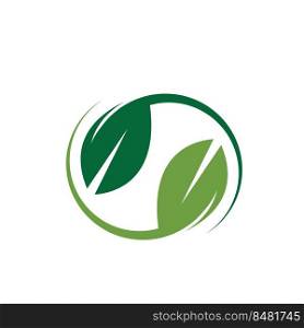 green leaf element  icon of nature concept  design template web