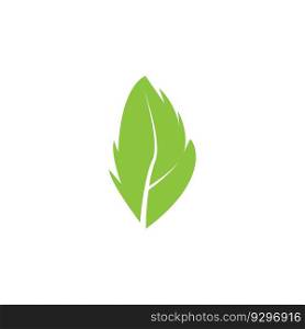 green leaf garden nature icon vector illustration template design
