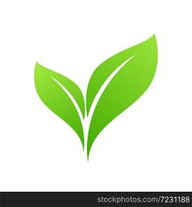 Green Leaf Icon design Vector Illustration