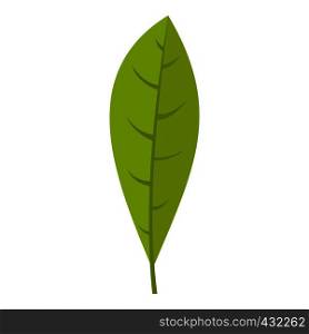 Green leaf icon flat isolated on white background vector illustration. Green leaf icon isolated