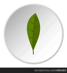 Green leaf icon in flat circle isolated on white background vector illustration for web. Green leaf icon circle