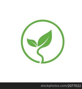 green leaf icon vector concept design template web