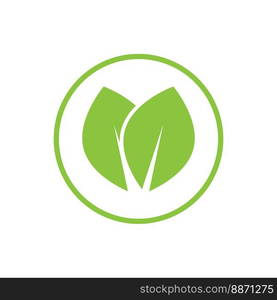 Green leaf illustration nature logo and symbol design