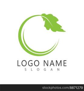 Green leaf illustration nature logo and symbol design