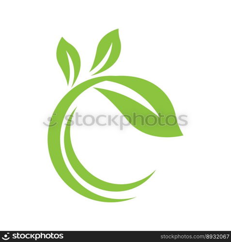 Green leaf illustration nature logo and symbol design