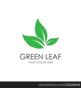 Green leaf illustration nature logo design