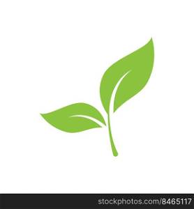 Green leaf illustration nature logo design