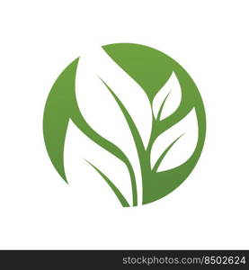 Green leaf illustration nature logo design