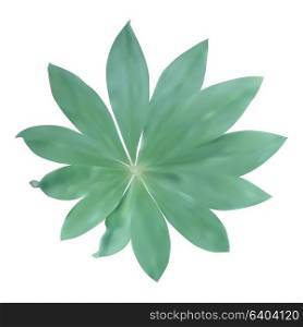 Green leaf Isolated on white background. Vector Illustration. EPS10. Green leaf Isolated on white background. Vector Illustration.