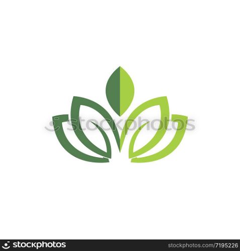 Green leaf logo and symbol vector