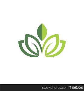 Green leaf logo and symbol vector
