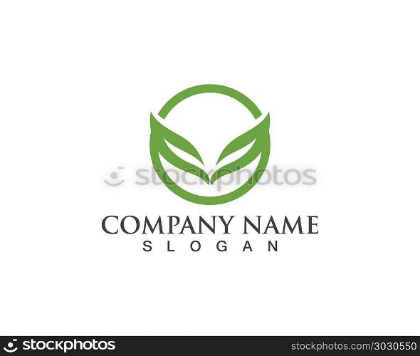 Green leaf logo and symbols vector template icons