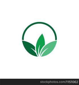 Green leaf logo ecology nature element vector