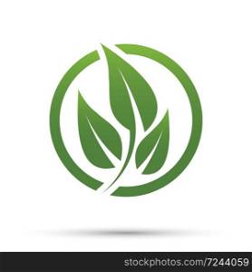 Green leaf logo,ecology nature.Vector illustration