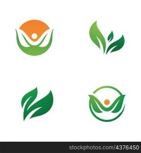 Green leaf logo icon illustration , leaf vector symbol