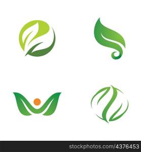 Green leaf logo icon illustration , leaf vector symbol