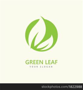 Green leaf logo icon vector template