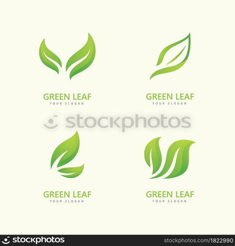 Green leaf logo icon vector template