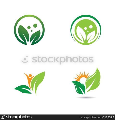 Green leaf logo template vector design