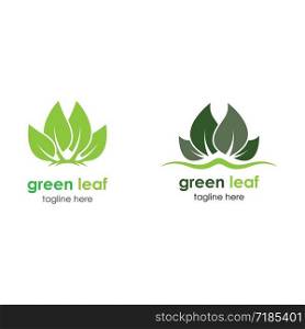 Green leaf logo template vector design