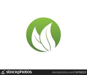 Green leaf nature ecology icon