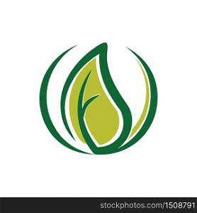 Green Leaf Nature Environment Abstract Ecology Logo