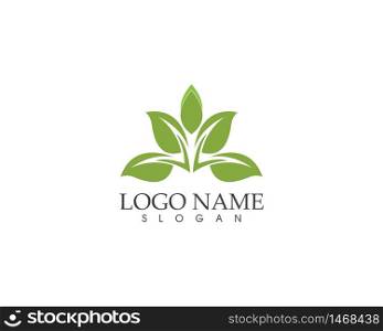 Green leaf nature logo