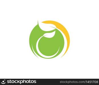 Green leaf nature logo template