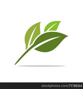 Green Leaf Nature Logo Template Illustration Design. Vector EPS 10.