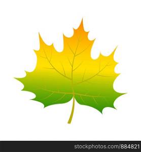 Green leaf of tree icon. Isometric of green leaf of tree vector icon for web design isolated on white background. Green leaf of tree icon, isometric style