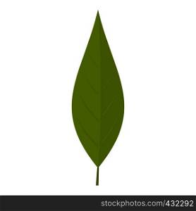 Green leaf of willow icon flat isolated on white background vector illustration. Green leaf of willow icon isolated